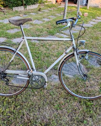 N° 2 Biciclette: da uomo e mountai bike