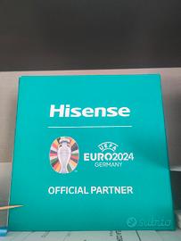 pallone Hisense ufficiale uefa 2024