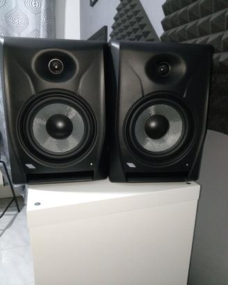 Monitor audio attivi