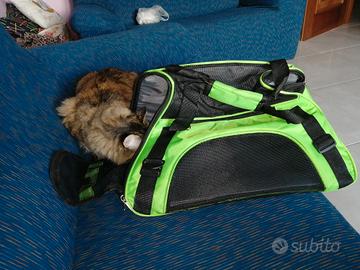 transportino x gatto