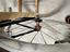 Immagine 5