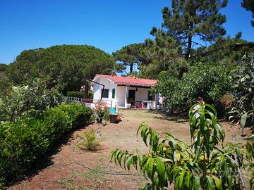 Casa vacanze a Porto Azzurro