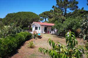 Casa vacanze a Porto Azzurro