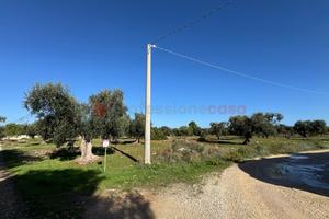 Terreno Agricolo Grottaglie [GP2523VCG]
