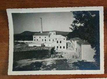 fotografia segheria avellino FOTO ARTE 1940(1/3)