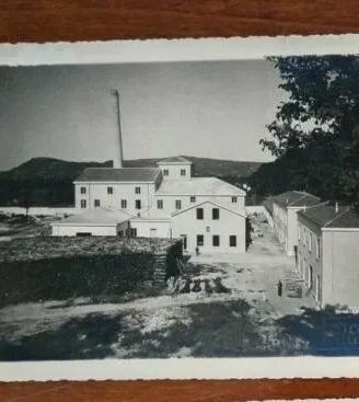 fotografia segheria avellino FOTO ARTE 1940(1/3)