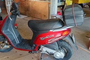 Typhoon 50cc