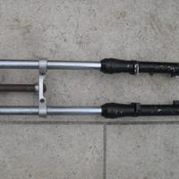 forcella ceriani da 30 cross velocità regolarità