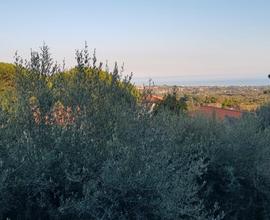 SOLUZIONI indipendenti panoramiche