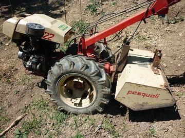 motozappa pasquali 922 benzina