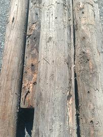 pali in legno per tettoia 