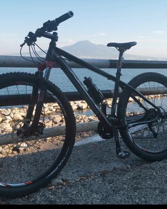 mountain bike nsr