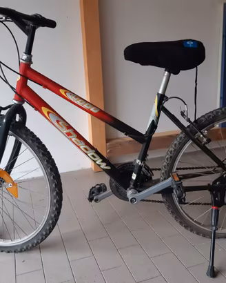 Bicicletta bambino Mountain bike