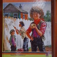 Le avventure di Tom Sawyer
Libro di Mark Twain
