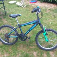 Mountain Bike Rollmar 20”