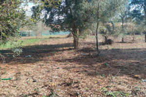 Treno agricolo di 1.150 metri quadri Casal Palocco