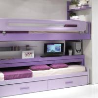 Cameretta linea (Ferri)