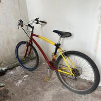 Bicicletta mountain bike