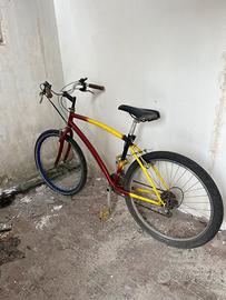 Bicicletta mountain bike