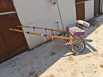 calesse per miniponi
