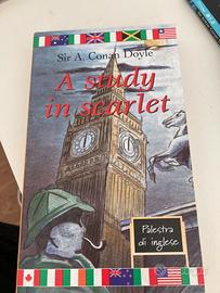 lotto 10 libri inglese per recupero potenziamento