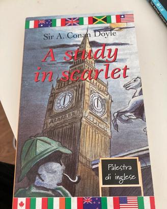 lotto 10 libri inglese per recupero potenziamento
