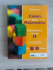 Colori della Matematica Edizione Gialla Volume 1