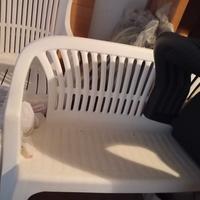 panchina e sedie plastica da esterno 