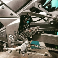 Paratacchi carbonio z750