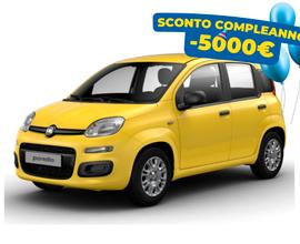 Fiat Panda 1.0 FireFly S&S Hybrid PANDINA