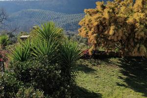 Casolare con terreno