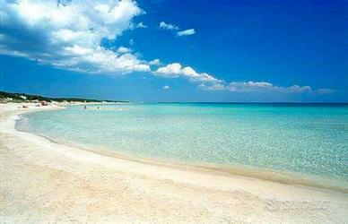 Le belle spiagge di Pescoluse monolocale