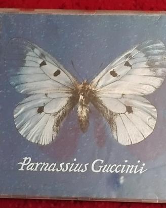 Cd Francesco Guccini