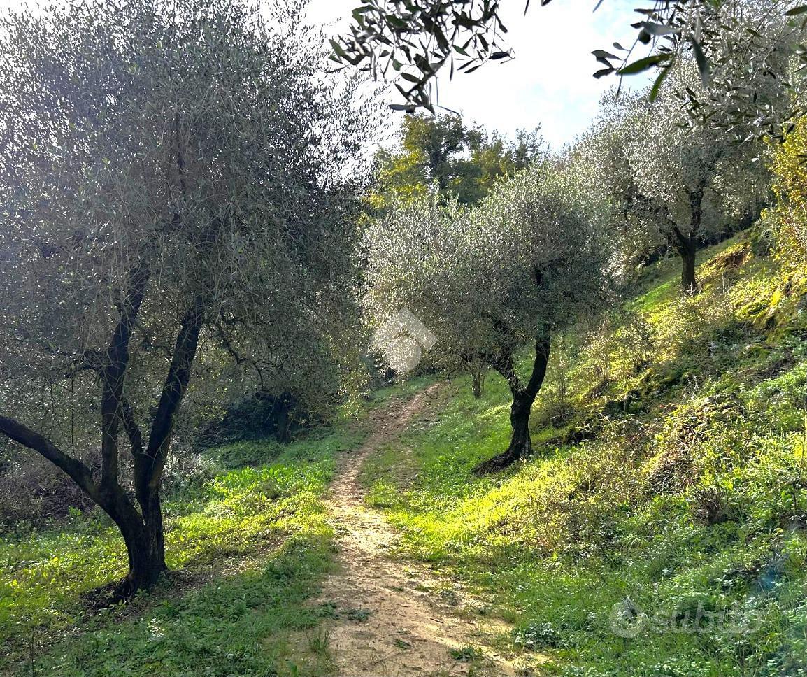 TER. AGRICOLO A PONZANO ROMANO - Altro
