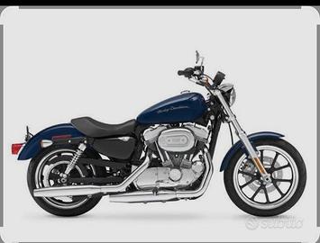 HD sportster 883 superlow