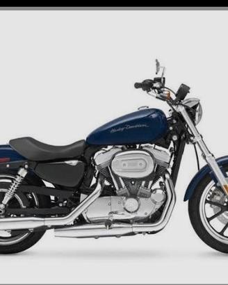HD sportster 883 superlow