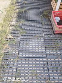 Pedane plastica dura