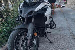 benelli trk  502