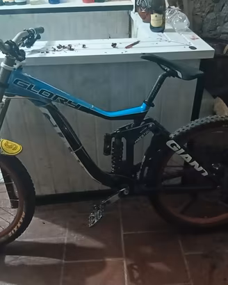 Bici Downhill