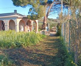 Terreno Agricolo con fabbricato agricolo al grezzo