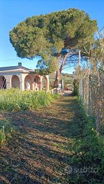 Terreno Agricolo con fabbricato agricolo al grezzo