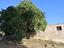 Immagine 28