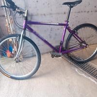 bicicletta 26 misura large