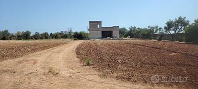 Capannone rurale e terreno coltivabile San Cesario