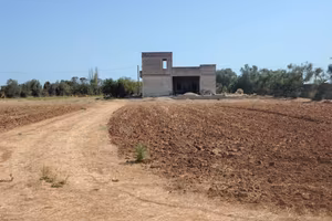Capannone rurale e terreno coltivabile San Cesario