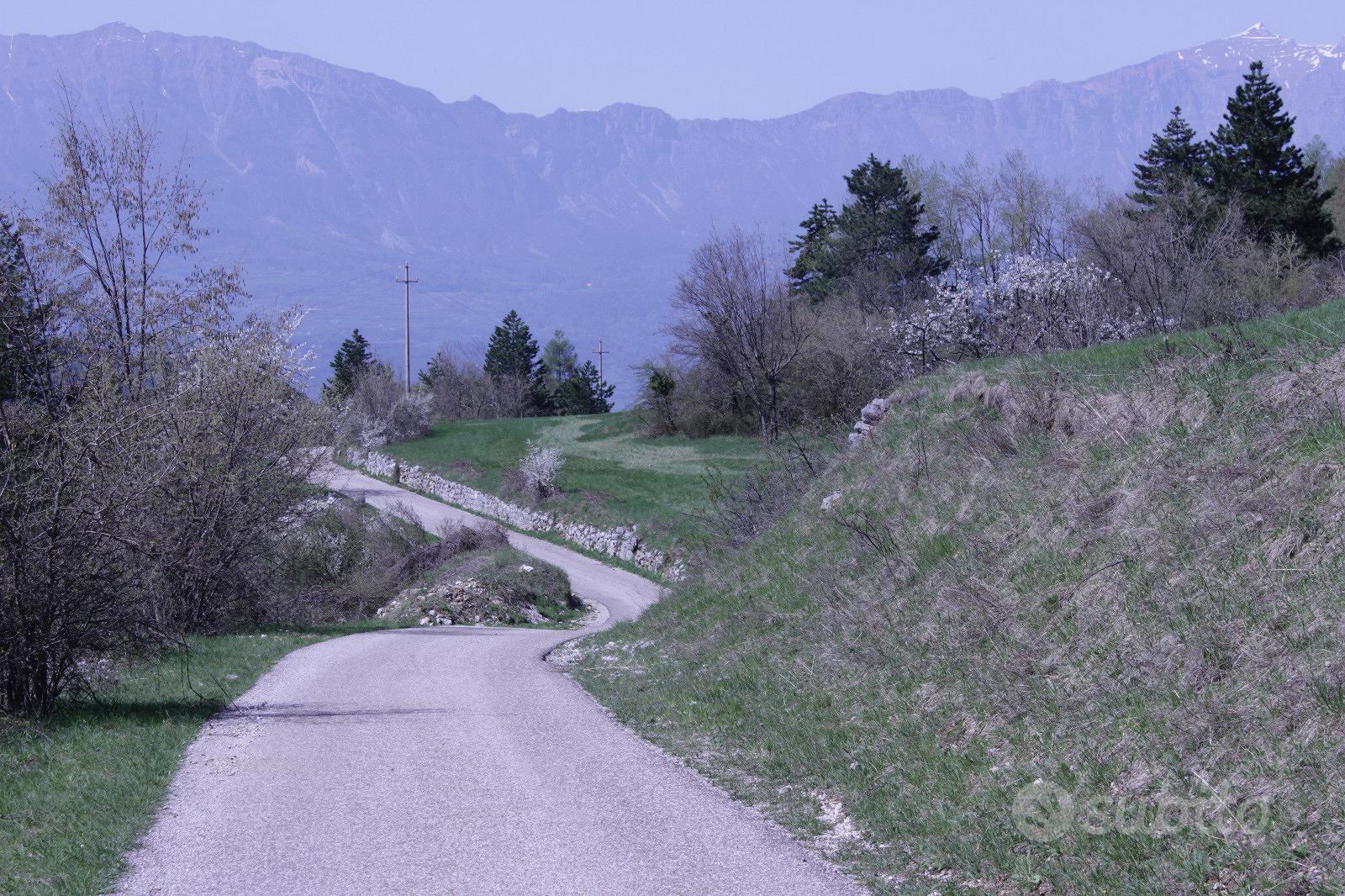 Splendido prato immerso nel verde e soleggiato - Vista 3