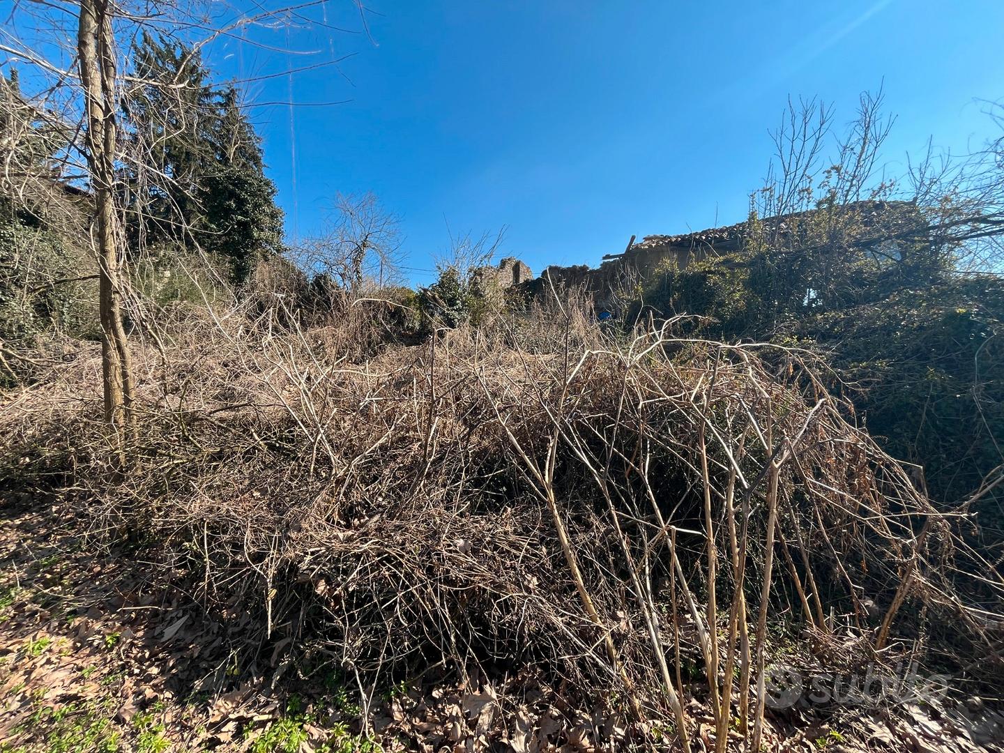 Rudere con terreno - Vista 6