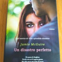 Jaime McGuire - Un disastro perfetto