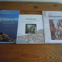 GARGNANO, MUSLONE E LIMONE SUL GARDA 3 Vol.