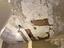 Immagine 26